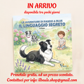 Il Linguaggio Segreto – Le avventure di Pando e Blue